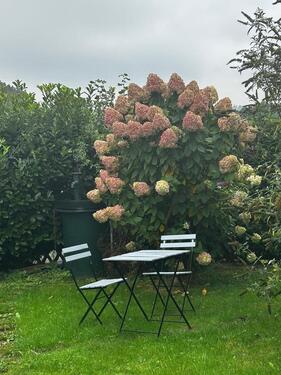 Foto - möblierte Kurzzeitmiete 2 Zi-Wohnung All-in 60 qm Neunkirchen-S.