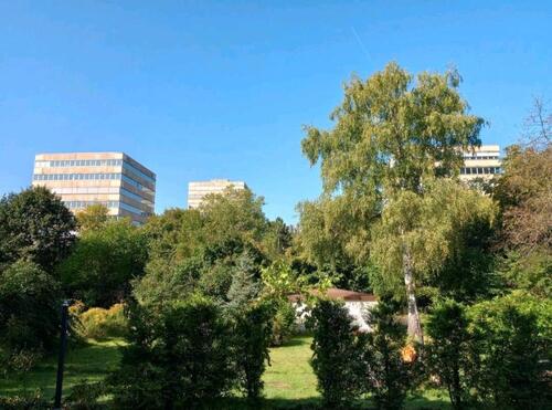 Foto - kleine Wohnung in Marburg ab 1.3.2026 zu vermieten