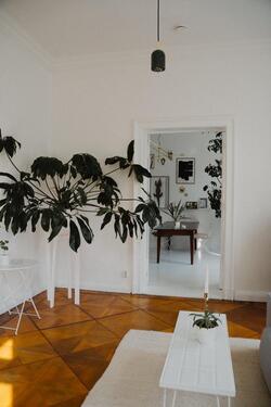 Foto - Etagenwohnung zur Miete in Berlin