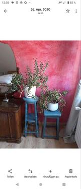 Foto - Etagenwohnung in Bochum