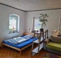 teilmöblierte Single Wohnung Apartment EBK Kamin Solar Balkon - Crottendorf