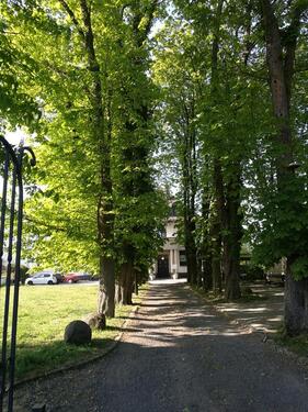 Foto - Büro mit drei Räumen in einer Villa in Neuwied-Niederbieber 84 qm