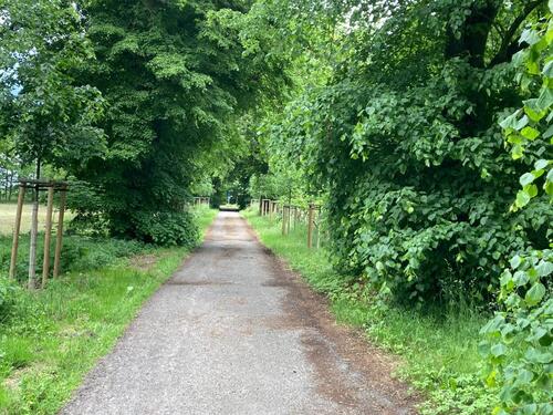 Foto - Grundst&uuml;ck zur Miete in Gingst