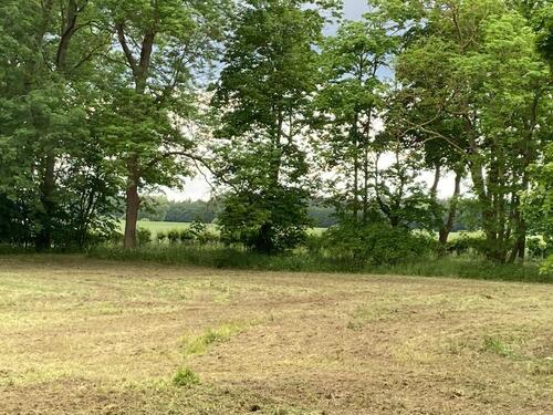 Foto - Grundst&uuml;ck in Gingst