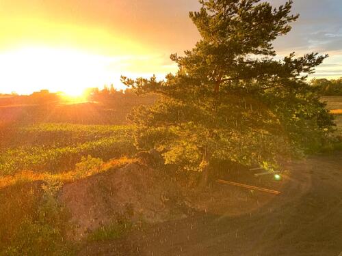 Foto - Erdgeschoßwohnung in Arneburg zur Miete