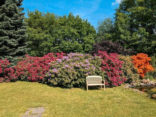 Foto - Freistehendes Einfamilienhaus Bungalow Schwarzenbach
