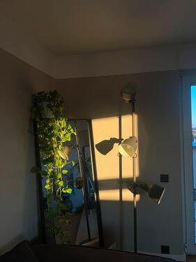 Foto - 