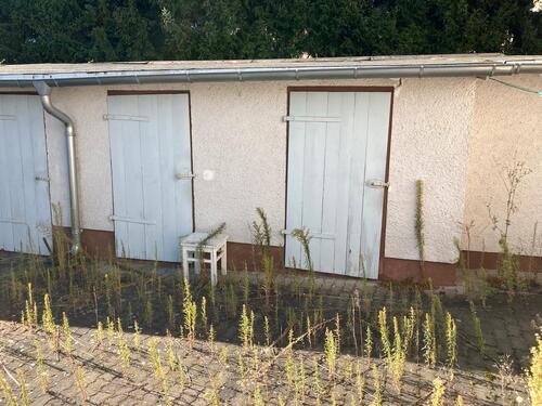 Foto - Einfamilienhaus in Coswig (Anhalt)