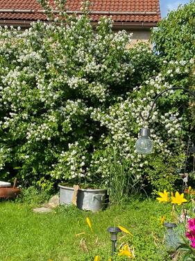 Foto - Einfamilienhaus in Frankenblick zur Miete