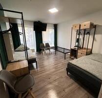 1 Zimmer Wohnung mit Möbel -Küche Ablöse - Nürnberg Eberhardshof