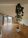 Foto - Etagenwohnung in Hildesheim zur Miete
