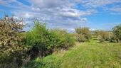 Foto - Schöne Streuobstwiese in Ockenheim in top Lage zu verpachten