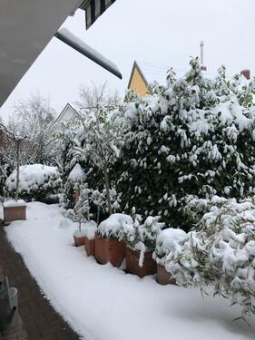 Foto - 2.5 Zimmer Maisonettenwohnung zur Miete in Bonn