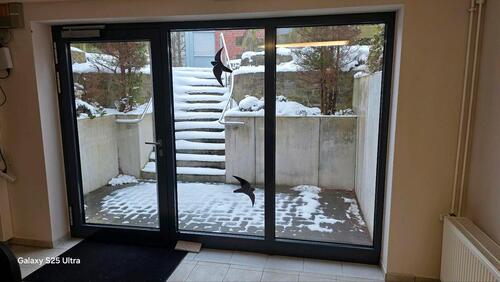 Foto - andere in Siegen zur Miete