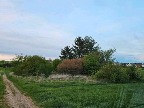 Foto - Grundst&uuml;ck zur Miete in Weil der Stadt