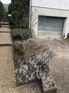 Foto - Einfamilienhaus in Windeck
