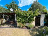 Foto - Pachtgarten in Vetschau abzugeben – 386 m²