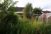 Foto - Einfamilienhaus in Sonnewalde zum Kaufen