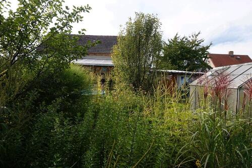 Foto - Einfamilienhaus in Sonnewalde zum Kaufen