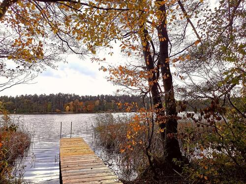 Foto - 4 Zimmer Bungalow in Lindow (Mark)