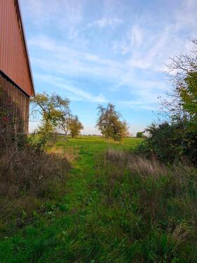 Foto - Bauernhaus, Landhaus in Beeskow zum Kaufen