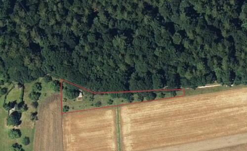 Foto - Freizeitgrundstück mit Holzhütte in toller Waldrandlage, Obstbäum