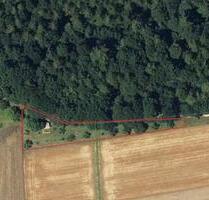 Freizeitgrundstück mit Holzhütte in toller Waldrandlage, Obstbäum - Schorndorf
