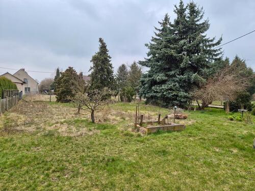 Foto - 5 Zimmer Einfamilienhaus zum Kaufen in Mockrehna