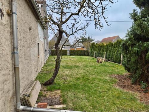 Foto - Einfamilienhaus in Mockrehna zum Kaufen
