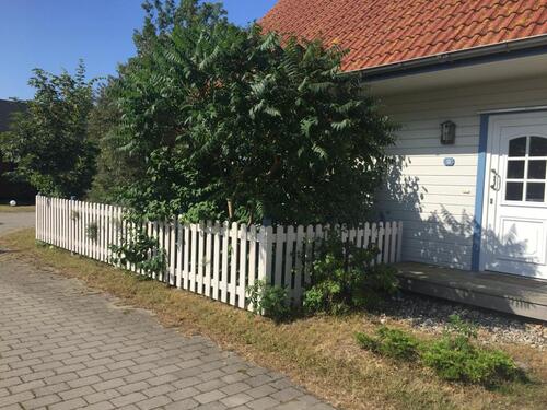 Foto - andere in Dranske zur Miete