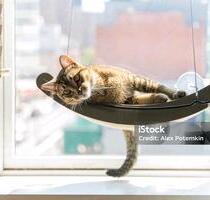 Wohnung zu vermieten 1,5 Zimmer - Hagen Hohenlimburg