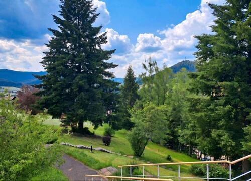 Foto - Liebevoll neu renoviertes Appartement im Schwarzwald