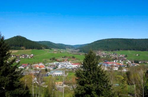 Foto - 1 Zimmer Erdgeschoßwohnung zum Kaufen in Bad Mergentheim