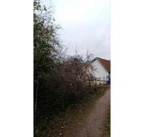 Grundstück zu verpachten ca. 100m2 in Lambrecht Pfalz - Neustadt an der Weinstraße