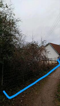 Foto - Grundst&uuml;ck zur Miete in Neustadt an der Weinstraße