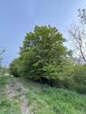 Foto - Garten-Freizeitgrundstück mit Lost Place Charakter