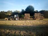 Foto - andere in Blumberg