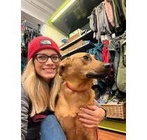 Möblierte Wohnung oder Haus mit Hundin - Hamburg Winterhude