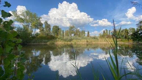 Foto - Seegrundstück, Badesee, Fischweiher, Wochenendstück zu verpachten