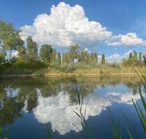 Seegrundstück, Badesee, Fischweiher, Wochenendstück zu verpachten - Guntersblum