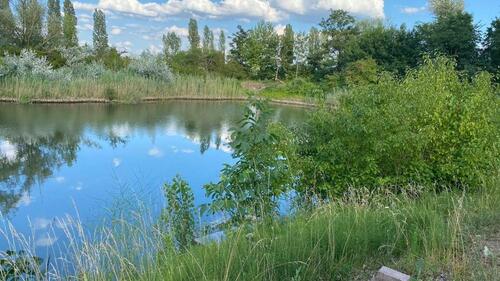 Foto - Grundst&uuml;ck zur Miete in Guntersblum