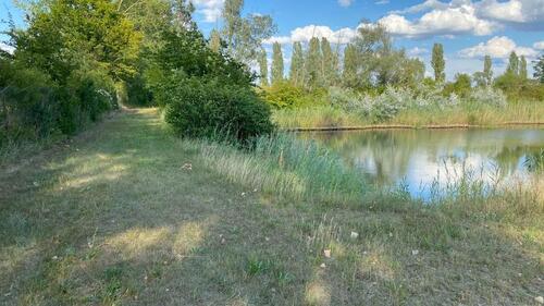 Foto - Grundst&uuml;ck in Guntersblum
