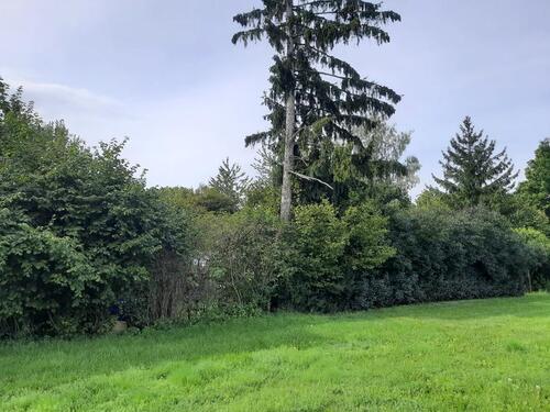 Foto - Grundstück zur Miete in Pliening