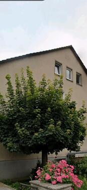 Foto - Mehrfamilienhaus, Wohnhaus zum Kaufen in Wolfenbüttel