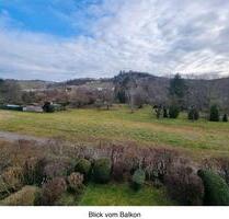 Ruhige 2-Zi.-DG-Einliegerwohnung mit Balkon & Klimaanlage - Stuttgart Luginsland