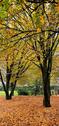 Foto - Maximiliansau 3ZKB 91qm 2.OG Links Balkone Keller Stellplatz
