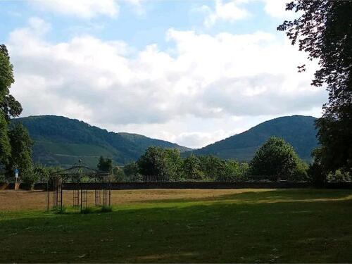 Foto - EINFAMILIENHAUS NEU SANIERT - 275.000,00 EUR Kaufpreis,