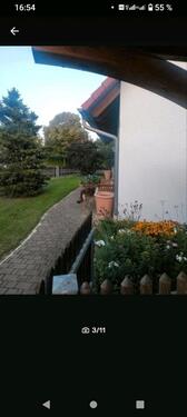 Foto - 4 Zimmer Einfamilienhaus in Hilgertshausen-Tandern