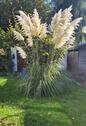 Foto - Zweifamilienhaus mit großem Garten, Sauna & viel Platz