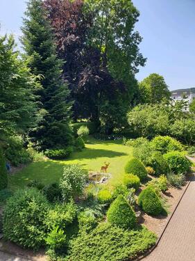 Foto - Im Herzen von Siegen gelegene Wohnung mit Blick aufs Krönchen